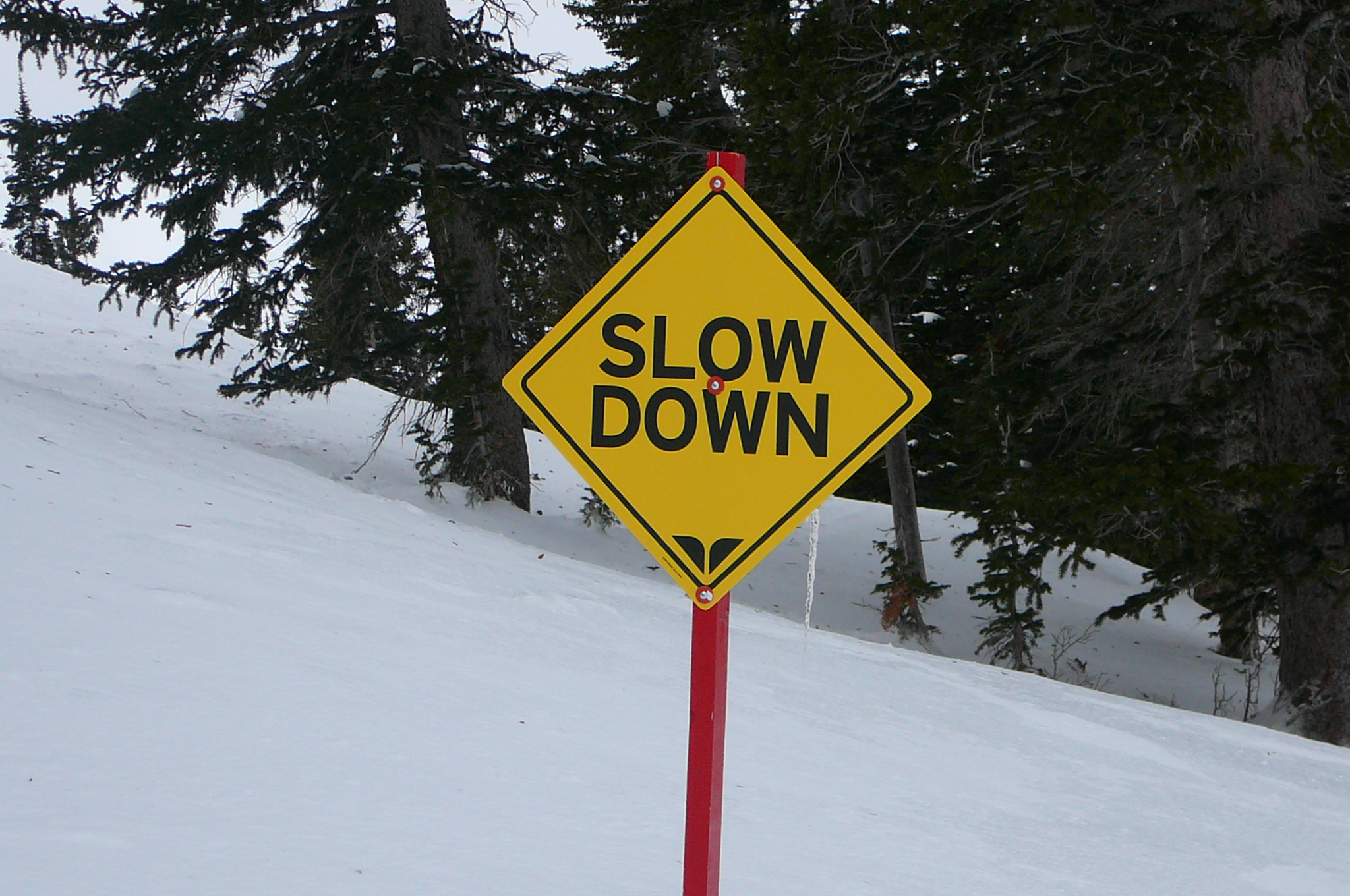 Instructional Ski Trail Sign