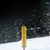 Ski Sign