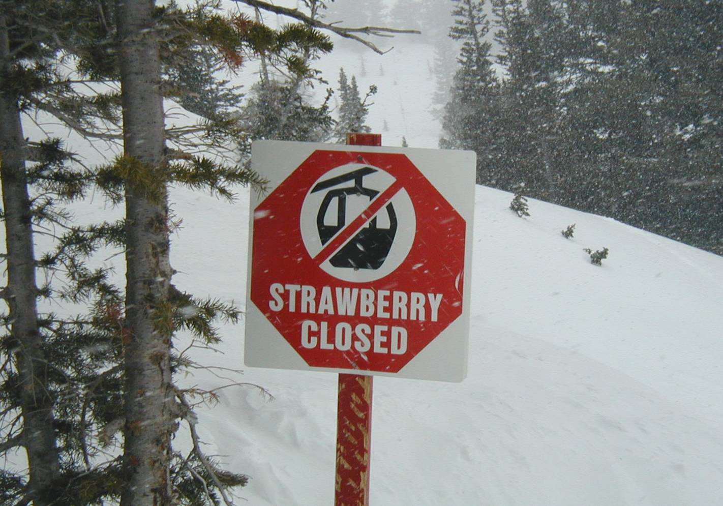 Strawberry Ski Trail Sign