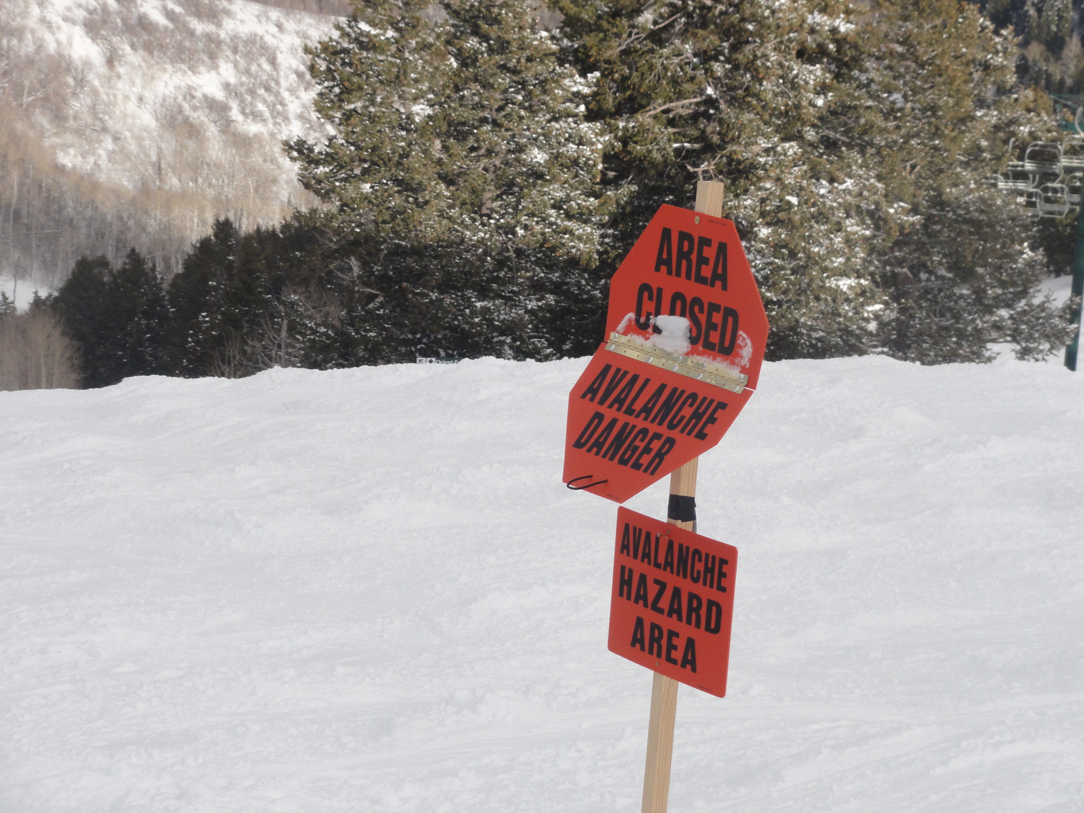 Avalanche Warning Printed Sign